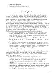 Verslo planas: augalų ir daržovių auginimas šiltnamiuose IĮ "Šernė" 4 puslapis