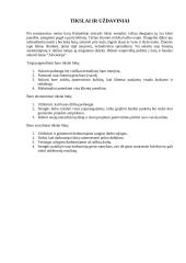 Verslo planas: baras UAB "Akvatorija" 8 puslapis