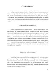 Verslo planas: boulingo centras UAB "Kėglis" 12 puslapis