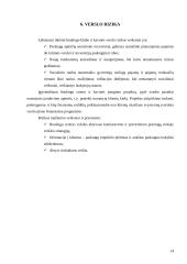 Verslo planas: boulingo centras UAB "Kėglis" 14 puslapis