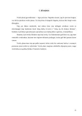 Verslo planas: boulingo centras UAB "Kėglis" 15 puslapis