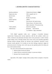 Verslo planas: boulingo centras UAB "Kėglis" 3 puslapis