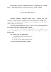 Verslo planas: boulingo centras UAB "Kėglis" 5 puslapis