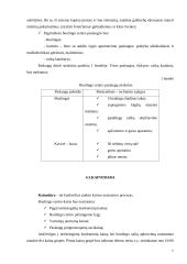 Verslo planas: boulingo centras UAB "Kėglis" 7 puslapis