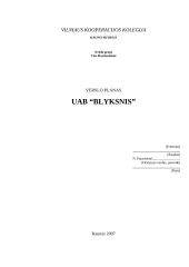 Verslo planas: fotostudija UAB "Blyksnis"