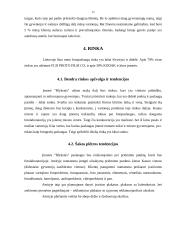 Verslo planas: fotostudija UAB "Blyksnis" 12 puslapis