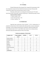 Verslo planas: fotostudija UAB "Blyksnis" 13 puslapis