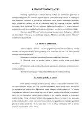 Verslo planas: fotostudija UAB "Blyksnis" 14 puslapis