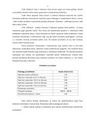 Verslo planas: fotostudija UAB "Blyksnis" 15 puslapis