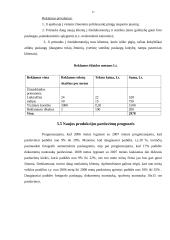 Verslo planas: fotostudija UAB "Blyksnis" 17 puslapis