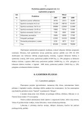 Verslo planas: fotostudija UAB "Blyksnis" 19 puslapis