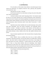 Verslo planas: fotostudija UAB "Blyksnis" 3 puslapis