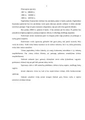 Verslo planas: fotostudija UAB "Blyksnis" 4 puslapis