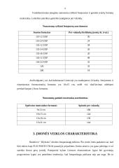 Verslo planas: fotostudija UAB "Blyksnis" 8 puslapis