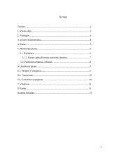 Verslo planas: geodeziniai matavimai IĮ "GeoMatas" 2 puslapis