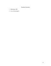 Verslo planas: geodeziniai matavimai IĮ "GeoMatas" 13 puslapis