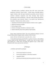 Verslo planas: geodeziniai matavimai IĮ "GeoMatas" 3 puslapis