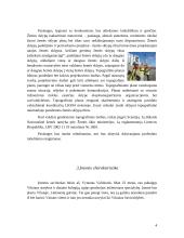 Verslo planas: geodeziniai matavimai IĮ "GeoMatas" 4 puslapis