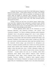 Verslo planas: geodeziniai matavimai IĮ "GeoMatas" 5 puslapis