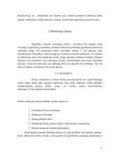 Verslo planas: geodeziniai matavimai IĮ "GeoMatas" 6 puslapis