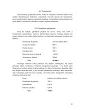 Verslo planas: geodeziniai matavimai IĮ "GeoMatas" 10 puslapis