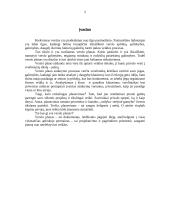 Verslo planas: grožio salonas "Dianos studija" 2 puslapis