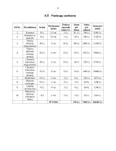 Verslo planas: grožio salonas "Dianos studija" 11 puslapis