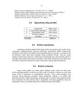 Verslo planas: grožio salonas "Dianos studija" 15 puslapis