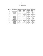 Verslo planas: grožio salonas "Dianos studija" 17 puslapis