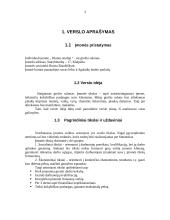 Verslo planas: grožio salonas "Dianos studija" 3 puslapis