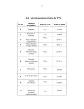 Verslo planas: grožio salonas "Dianos studija" 6 puslapis