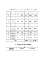 Verslo planas: grožio salonas "Dianos studija" 7 puslapis