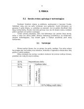 Verslo planas: grožio salonas "Dianos studija" 8 puslapis