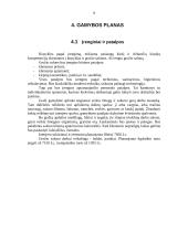 Verslo planas: grožio salonas "Dianos studija" 9 puslapis