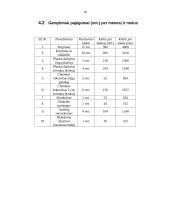 Verslo planas: grožio salonas "Dianos studija" 10 puslapis