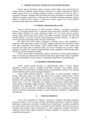 Verslo planas: grožio salonas "Kamelija" 4 puslapis