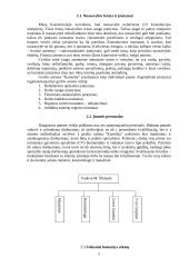 Verslo planas: grožio salonas "Kamelija" 5 puslapis