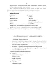 Verslo planas: grožio salonas IĮ "Afroditė" 3 puslapis