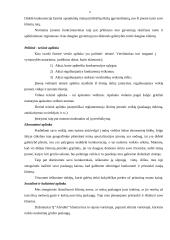 Verslo planas: grožio salonas IĮ "Afroditė" 6 puslapis