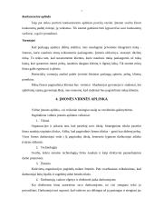 Verslo planas: grožio salonas IĮ "Afroditė" 7 puslapis