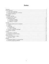 Verslo planas: internetinio portalo kūrimas ir išlaikymas IĮ "EuroFutbolas" 2 puslapis