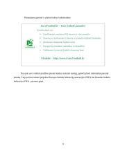 Verslo planas: internetinio portalo kūrimas ir išlaikymas IĮ "EuroFutbolas" 11 puslapis