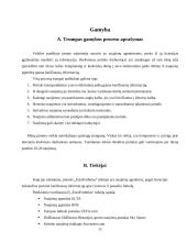 Verslo planas: internetinio portalo kūrimas ir išlaikymas IĮ "EuroFutbolas" 12 puslapis