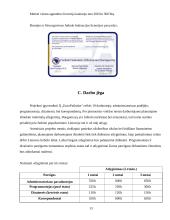 Verslo planas: internetinio portalo kūrimas ir išlaikymas IĮ "EuroFutbolas" 13 puslapis