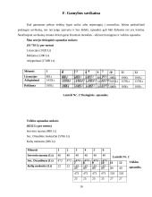 Verslo planas: internetinio portalo kūrimas ir išlaikymas IĮ "EuroFutbolas" 16 puslapis