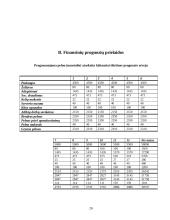 Verslo planas: internetinio portalo kūrimas ir išlaikymas IĮ "EuroFutbolas" 20 puslapis