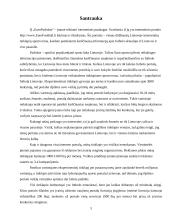 Verslo planas: internetinio portalo kūrimas ir išlaikymas IĮ "EuroFutbolas" 3 puslapis