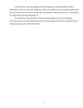 Verslo planas: internetinio portalo kūrimas ir išlaikymas IĮ "EuroFutbolas" 4 puslapis