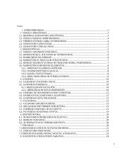 Verslo planas: internetinių paslaugų teikimas UAB "SP" (Skaitmeninis Pasaulis) 2 puslapis