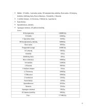 Verslo planas: internetinių paslaugų teikimas UAB "SP" (Skaitmeninis Pasaulis) 11 puslapis